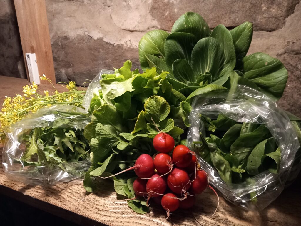 Orginalkassen i juni